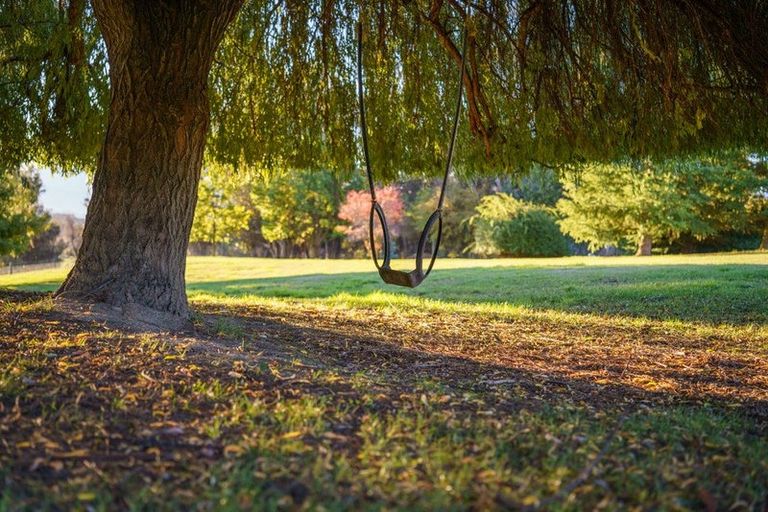 Photo of property in 355 Ballantyne Road, Wanaka, 9382