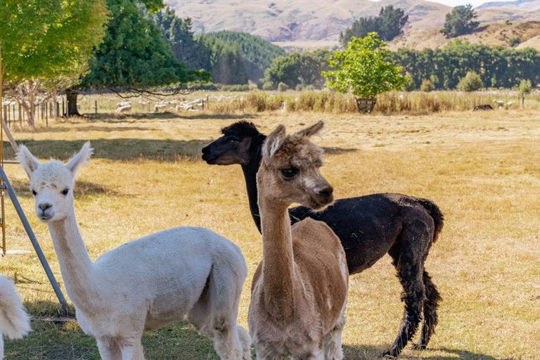 Photo of property in 33 Naylor Road, Nokomai, Athol, 9793