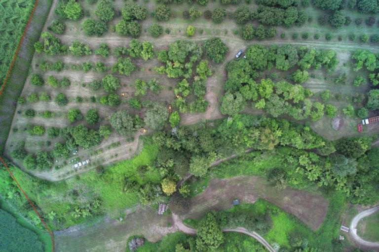 Photo of property in 400 Te Matai Road, Te Puke, 3188