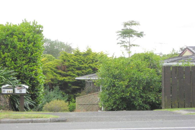 Photo of property in 161b Edinburgh Street, Pukekohe, 2120