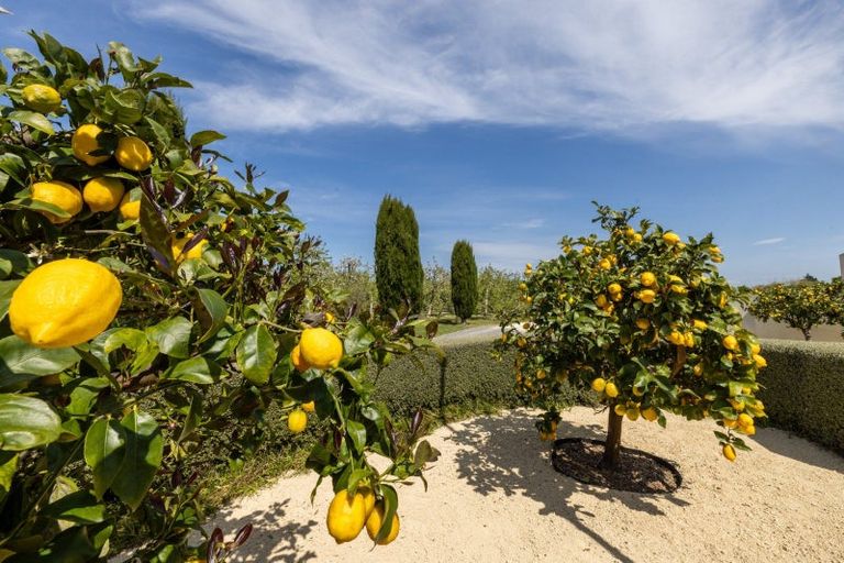 Photo of property in 375 Saint Georges Road, Havelock North, 4130