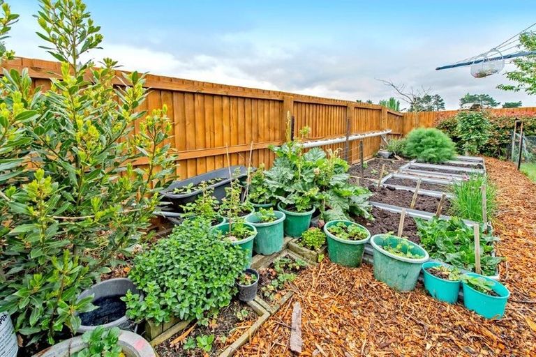 Photo of property in 3 Cassini Place, Leeston, 7632