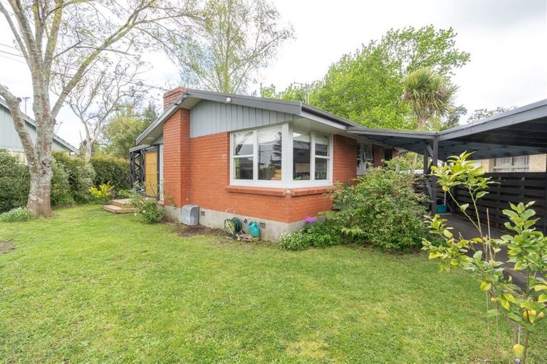 Photo of property in 19 Eton Drive, Hillcrest, Hamilton, 3216