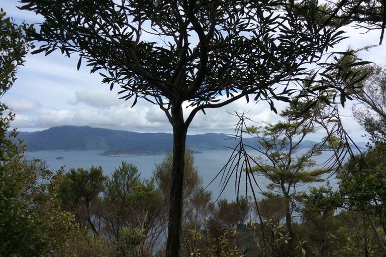 Photo of property in 1489 Te Towaka - Port Ligar Road, Admiralty Bay, French Pass, 7193
