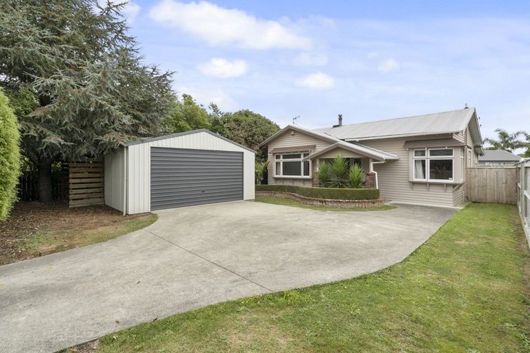 Photo of property in 19 Limbrick Street, Terrace End, Palmerston North, 4410