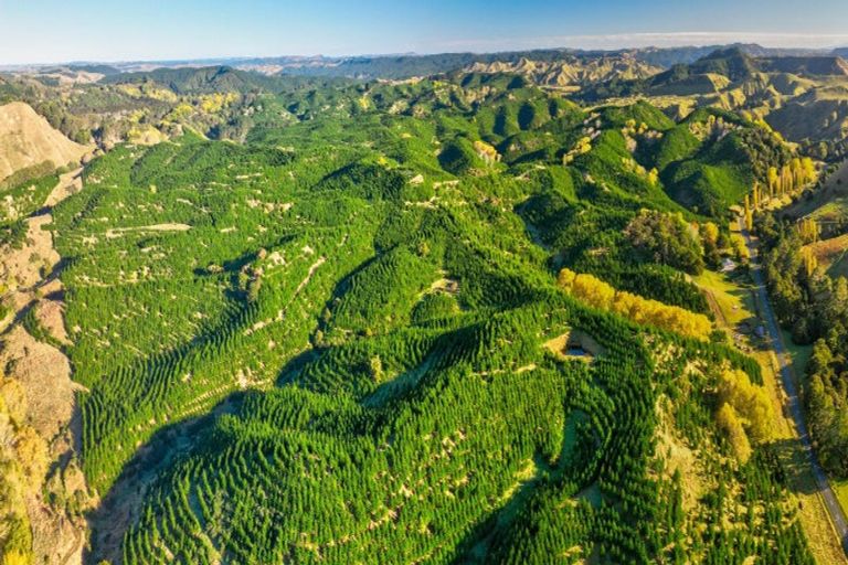 Photo of property in 751 Ongo Road, Hunterville, 4782