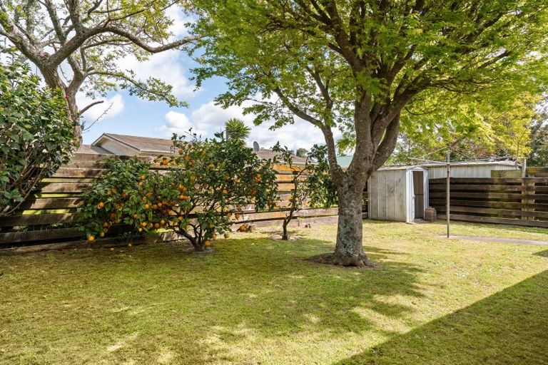 Photo of property in 4b Ngarimu Place, Mount Maunganui, 3116