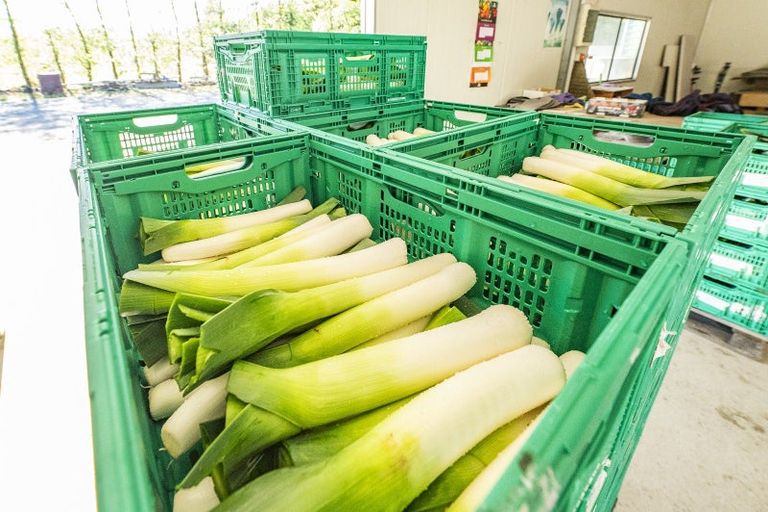 Photo of property in 581 Pesters Road, West Eyreton, 7475