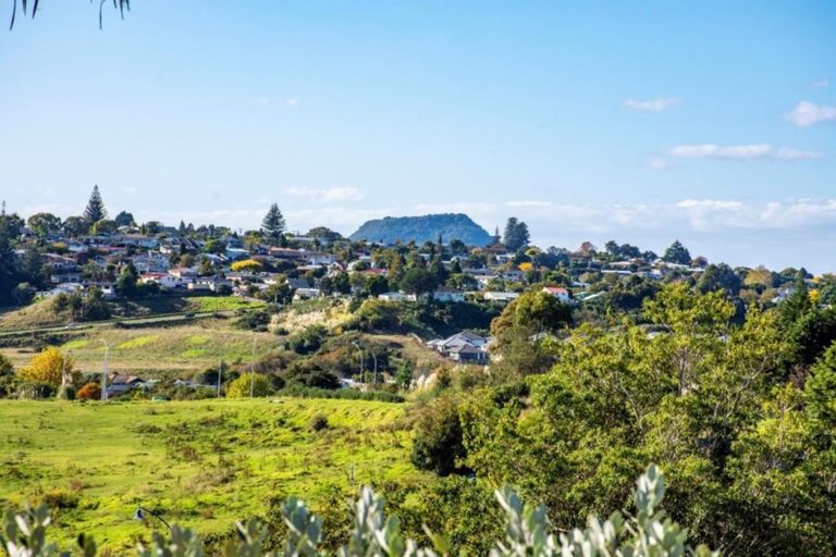 Photo of property in 14 Hallmark Rise, Bethlehem, Tauranga, 3110