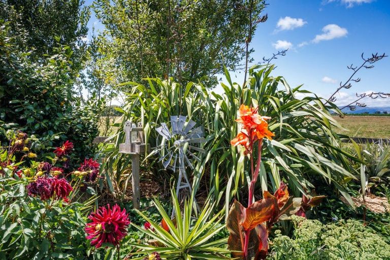 Photo of property in 1371 Kairanga Bunnythorpe Road, Kairanga, Palmerston North, 4475