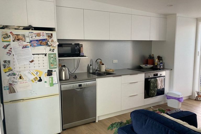 Photo of property in 50 Dignan Street, Point Chevalier, Auckland, 1022