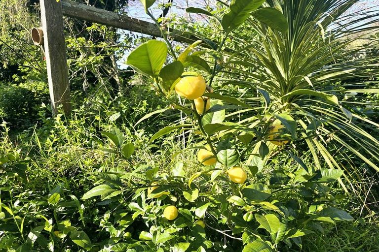 Photo of property in 20 Scotland Street, Picton, 7220