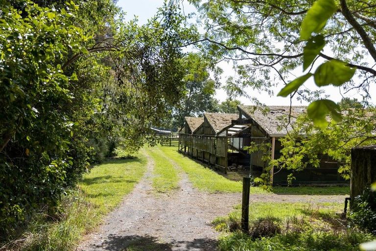 Photo of property in 233b Oropi Gorge Road, Oropi, Tauranga, 3173