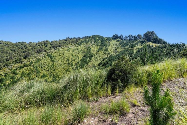 Photo of property in 1588 Stanley Road, Waimana, 3198