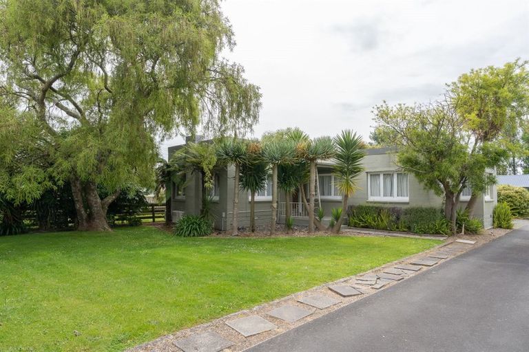 Photo of property in 19 Ellicott Road, Nawton, Hamilton, 3200