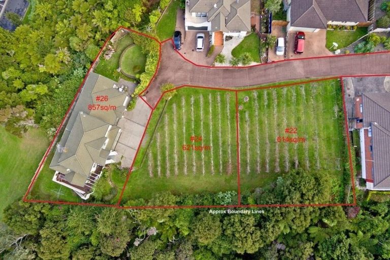 Photo of property in 24 Lorikeet Place, Unsworth Heights, Auckland, 0632