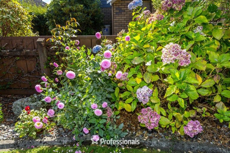 Photo of property in 1/72 Mcparland Street, Elderslea, Upper Hutt, 5018