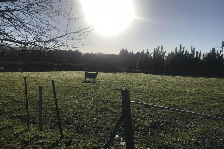 Photo of property in 178a State Highway 2, Mangatawhiri, Pokeno, 2471