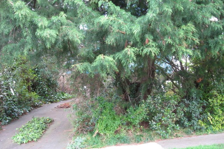 Photo of property in 111 Herewaka Street, Thames, 3500