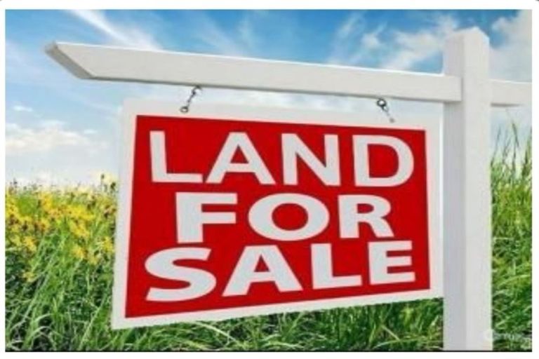 Photo of property in 3 Lawson Creek Street, Massey, Auckland, 0614