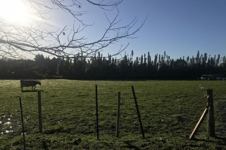 Photo of property in 178a State Highway 2, Mangatawhiri, Pokeno, 2471