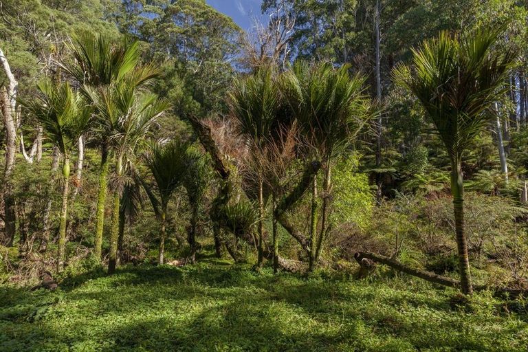 Photo of property in 226 Peria Road, Peria, Kaitaia, 0482