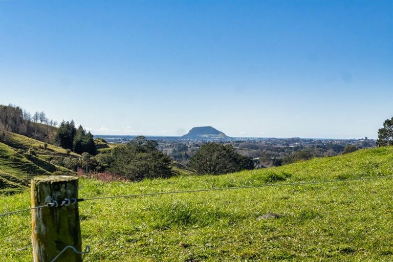 Photo of property in 164c Crawford Road, Wairoa, Tauranga, 3171