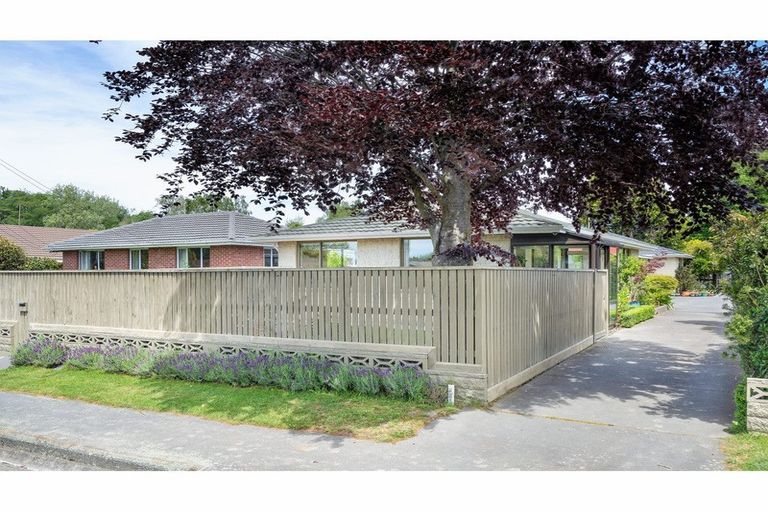 Photo of property in 1/11 Young Street, Somerfield, Christchurch, 8024