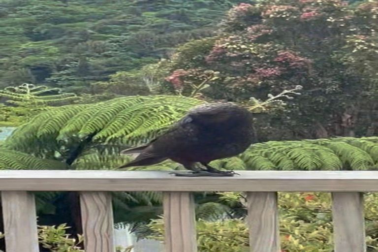 Photo of property in 39 Norwich Street, Wilton, Wellington, 6012