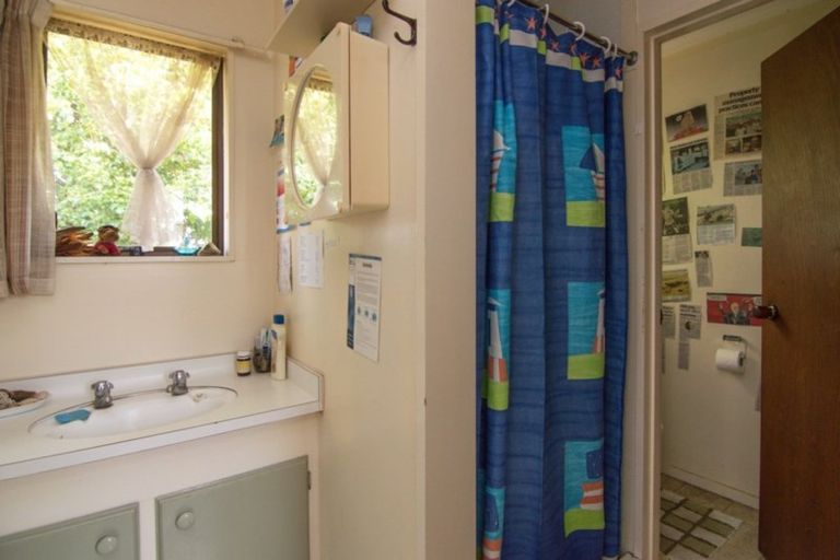 Photo of property in 94 Botanical Road, Takaro, Palmerston North, 4412