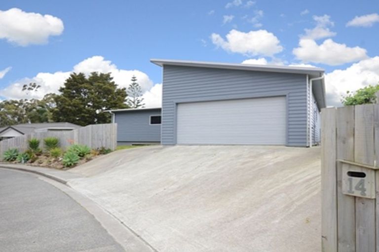 Photo of property in 14 Madison Place, Morningside, Whangarei, 0110