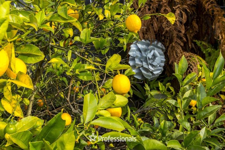 Photo of property in 11 Milton Street, Trentham, Upper Hutt, 5018