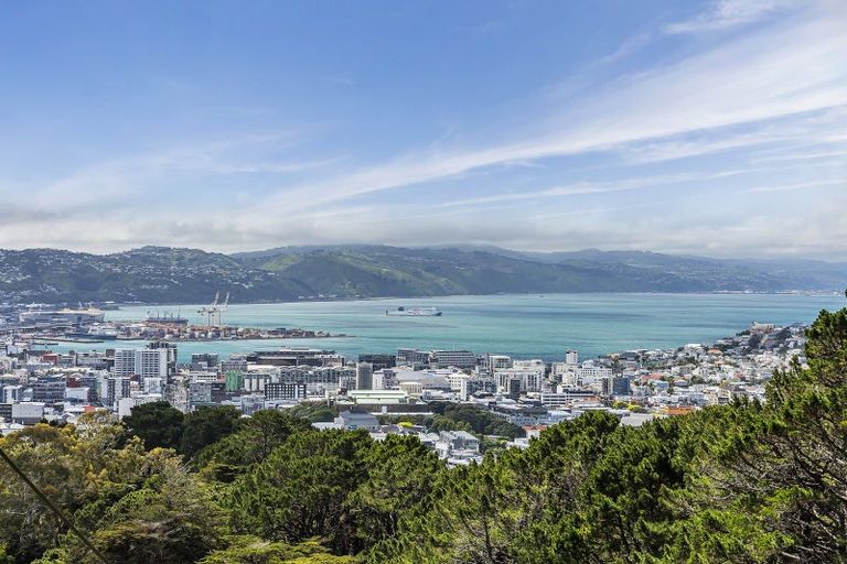 Photo of property in 9 Connaught Terrace, Brooklyn, Wellington, 6021