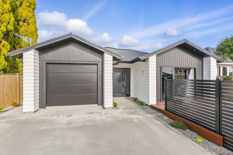 Photo of property in 42a Power Street, Levin, 5510