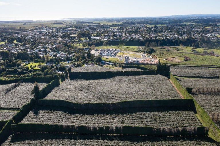 Photo of property in 81 Dunlop Road, Te Puke, 3119