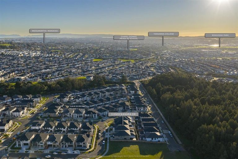 Photo of property in 233 Murphys Road, Flat Bush, Auckland, 2019