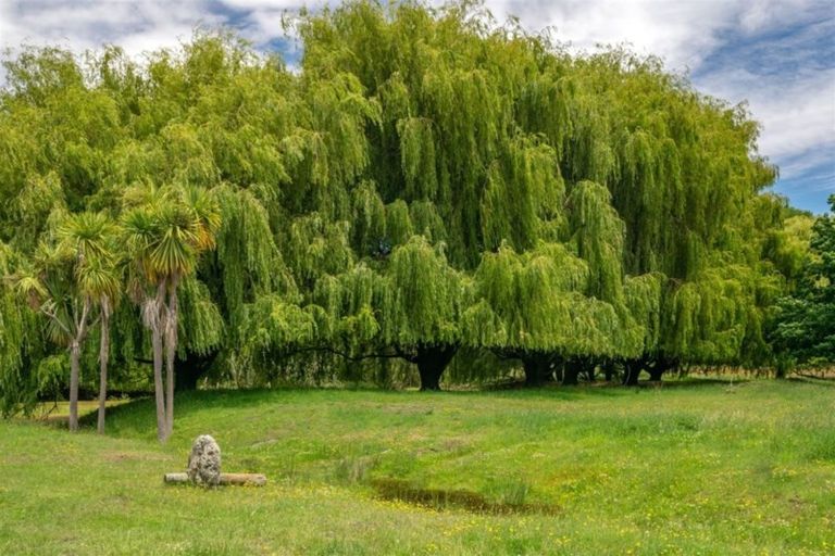 Photo of property in 162 Neal Road, Spring Creek, Blenheim, 7273