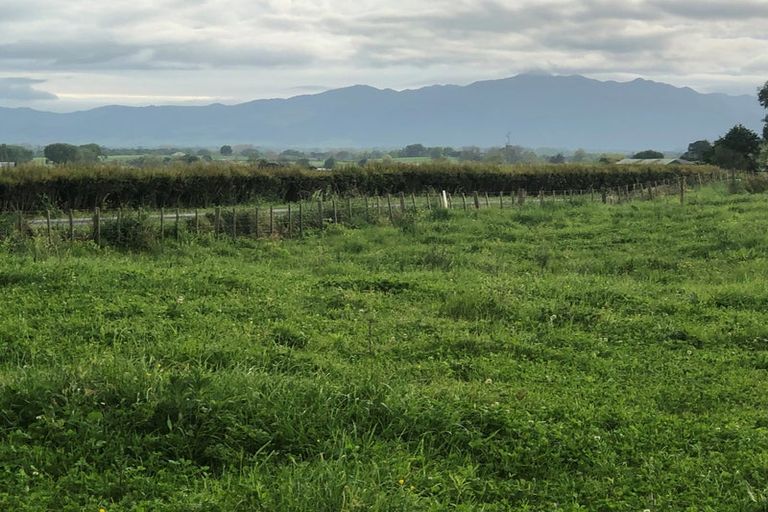 Photo of property in 155 Tauhei Road, Mangateparu, Morrinsville, 3375