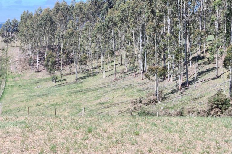 Photo of property in 420 Dunrobin Road, Fuchsia Creek, Oamaru, 9491