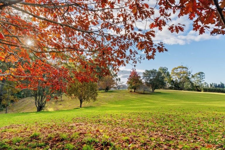 Photo of property in 139e Snodgrass Road, Te Puna, Tauranga, 3174