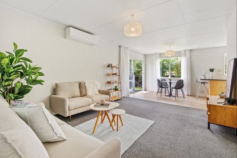 Photo of property in 45 Green Avenue, Levin, 5510