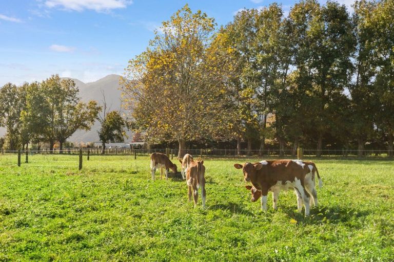 Photo of property in 126 Mccabe Road, Te Aroha, 3393