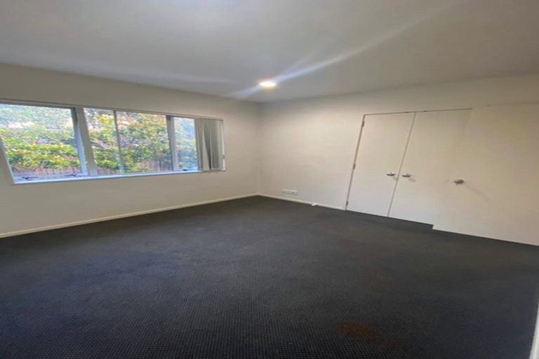 Photo of property in 14 Amaretto Avenue, Flat Bush, Auckland, 2019