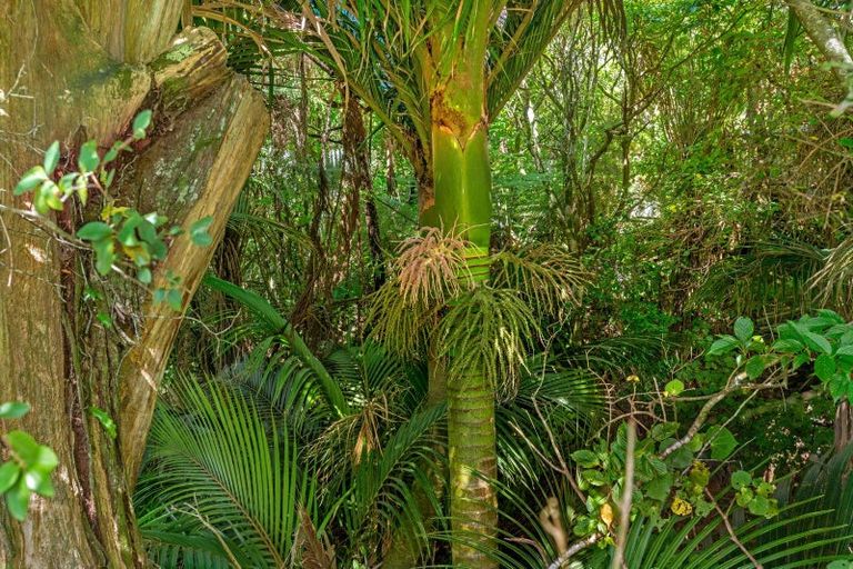 Photo of property in 784 Glenroy Road, Whangara, Gisborne, 4073