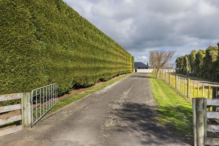 Photo of property in 75 Reid Line West, Feilding, 4777