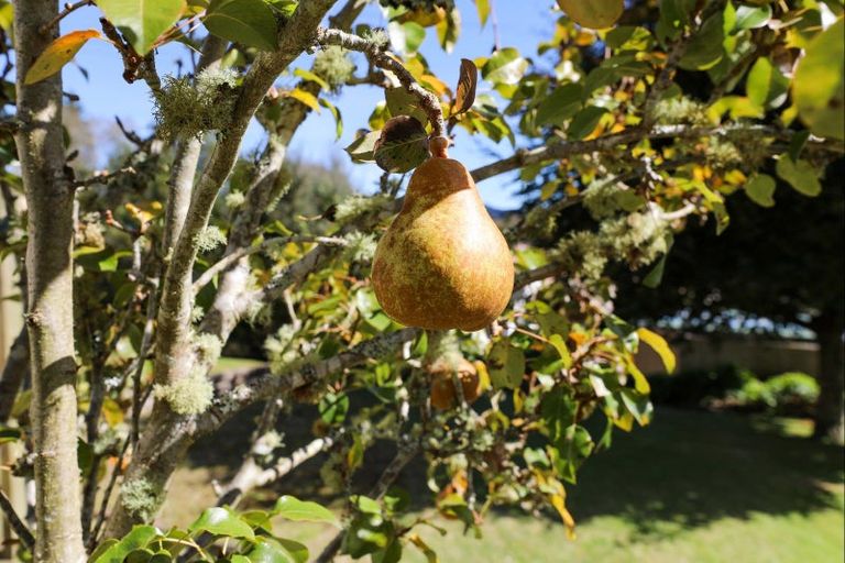 Photo of property in 4 Puketapu Crescent, Taumarunui, 3920