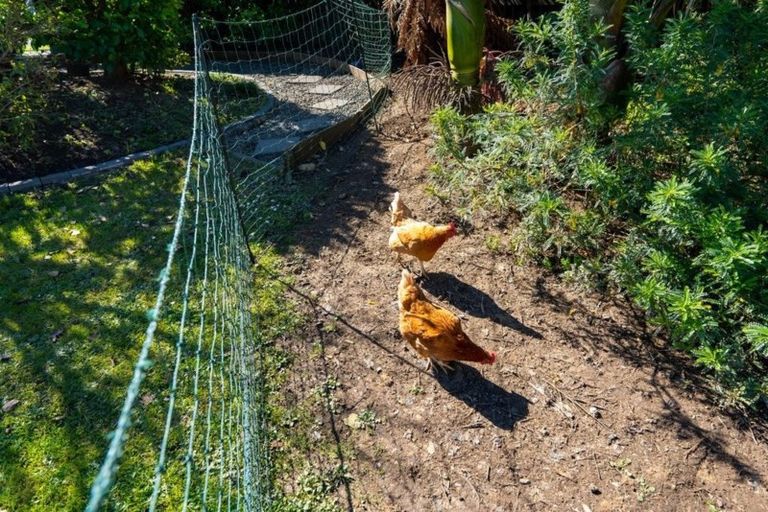 Photo of property in 29 Kapuka Road, Mangere Bridge, Auckland, 2022