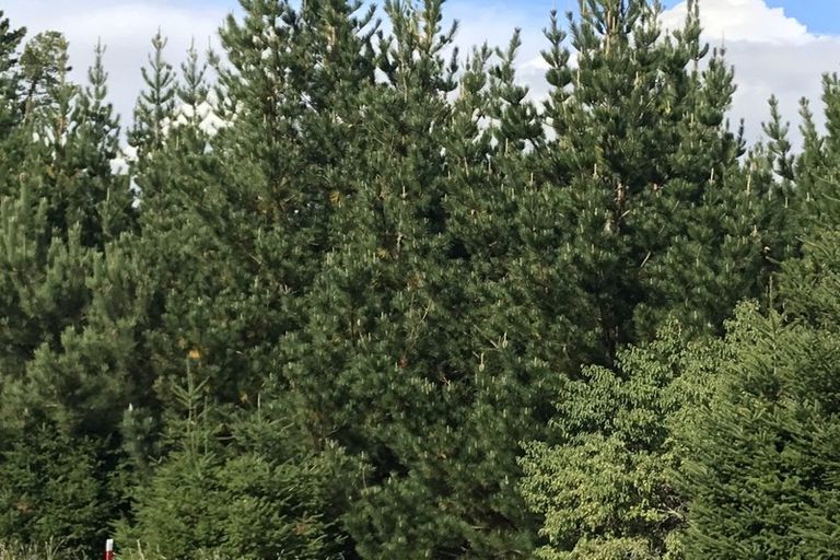 Photo of property in 487 Whangamata Road, Kinloch, Taupo, 3377