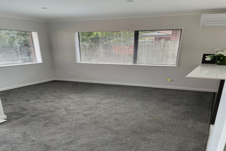 Photo of property in 1b Lewin Road, Epsom, Auckland, 1023