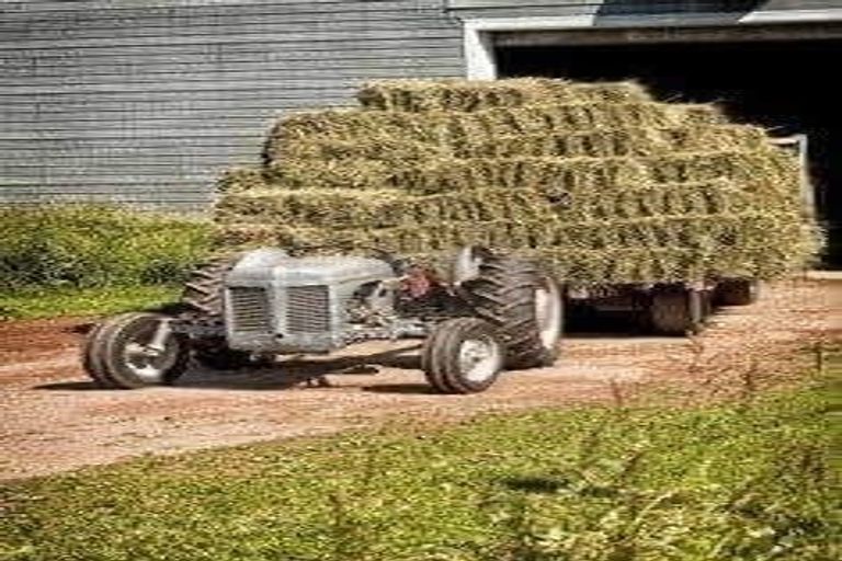 Photo of property in 638 Harewood Road, Harewood, Christchurch, 8051